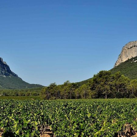 Gite Du Pic Saint Loup Valflaunes ภายนอก รูปภาพ