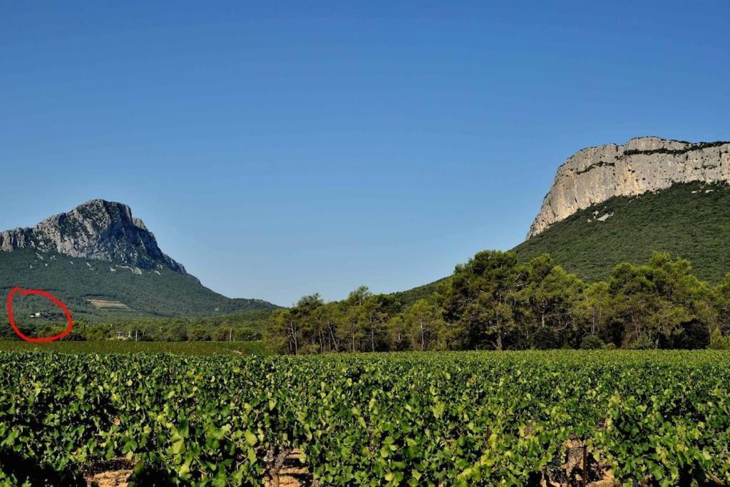 Gite Du Pic Saint Loup Valflaunes ภายนอก รูปภาพ